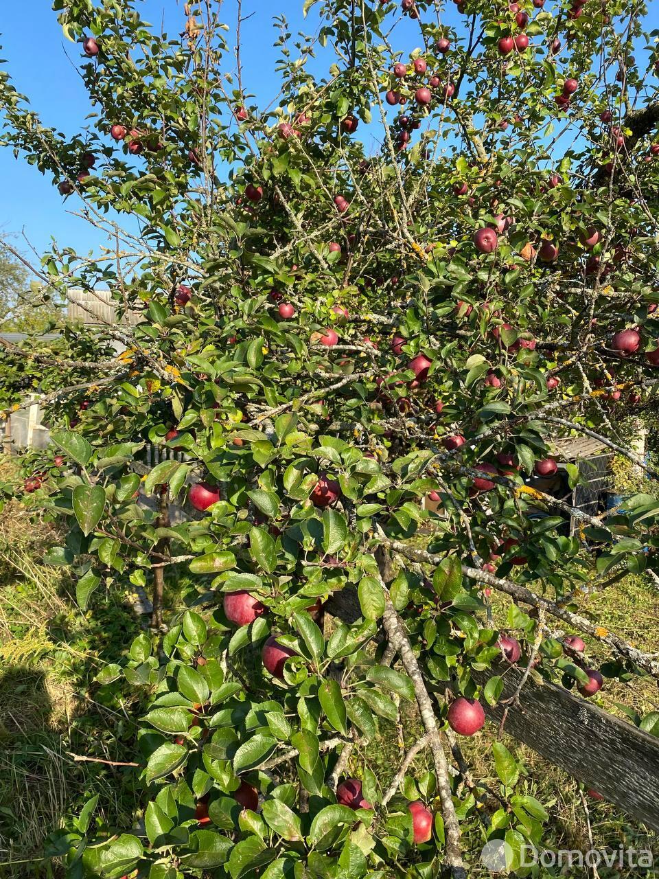 Купить 2-этажную дачу в ДУБРАВЫ-1982 Минская область, 17000USD, код 179886 - фото 31
