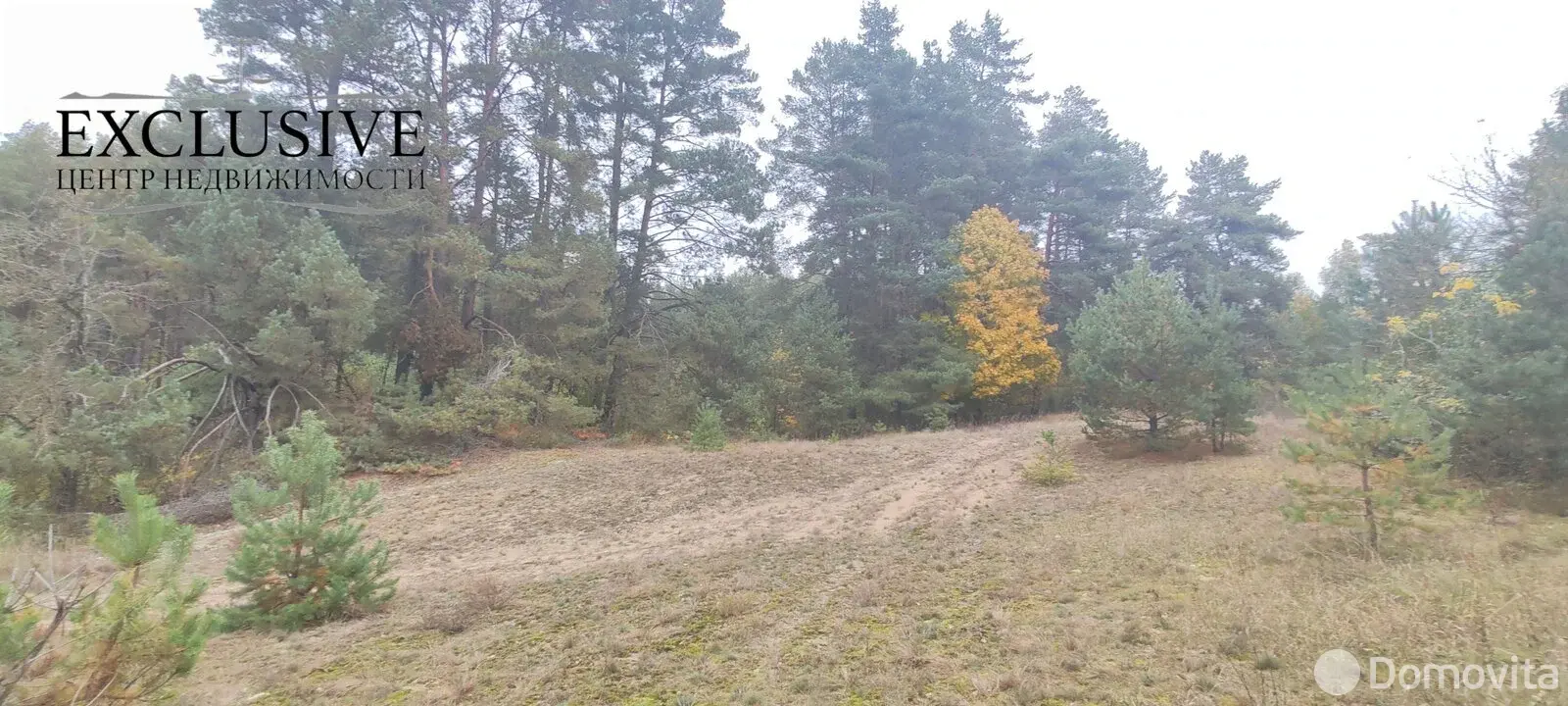 дом, Бержелаты, 