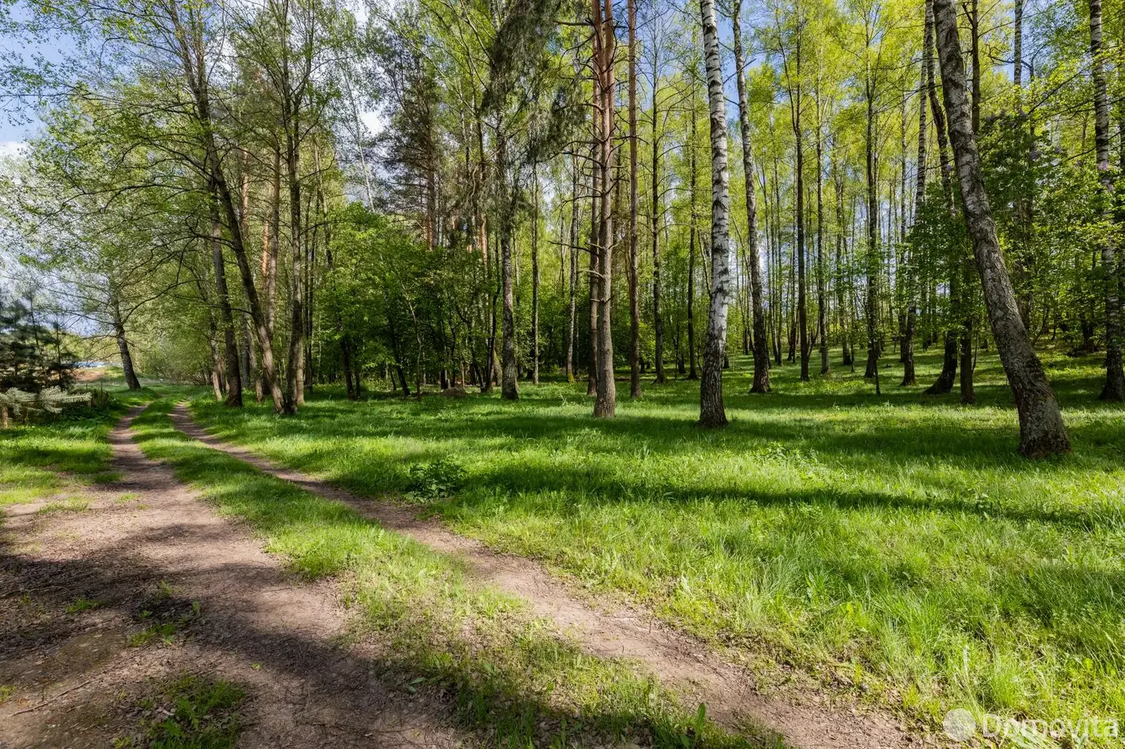 дом, Декшняны,