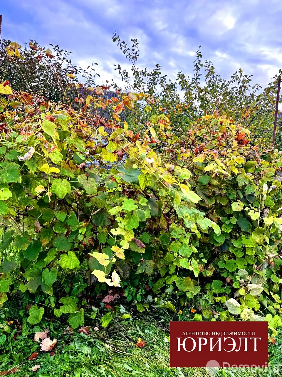 дача, Дубровня, , стоимость продажи 22 688 р.