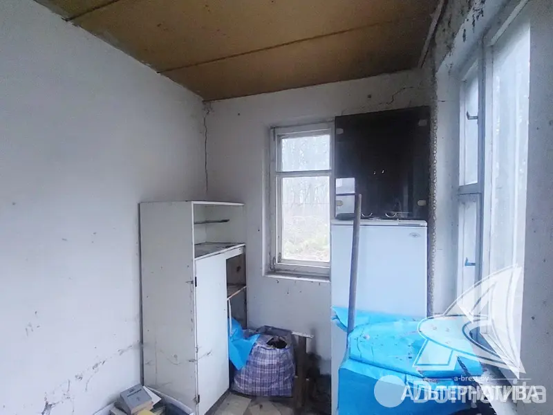 дача, Лесная поляна, 