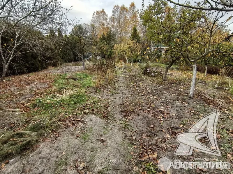 Продажа 1-этажной дачи в Машиностроитель Брестская область, 42000USD, код 184448 - фото 12