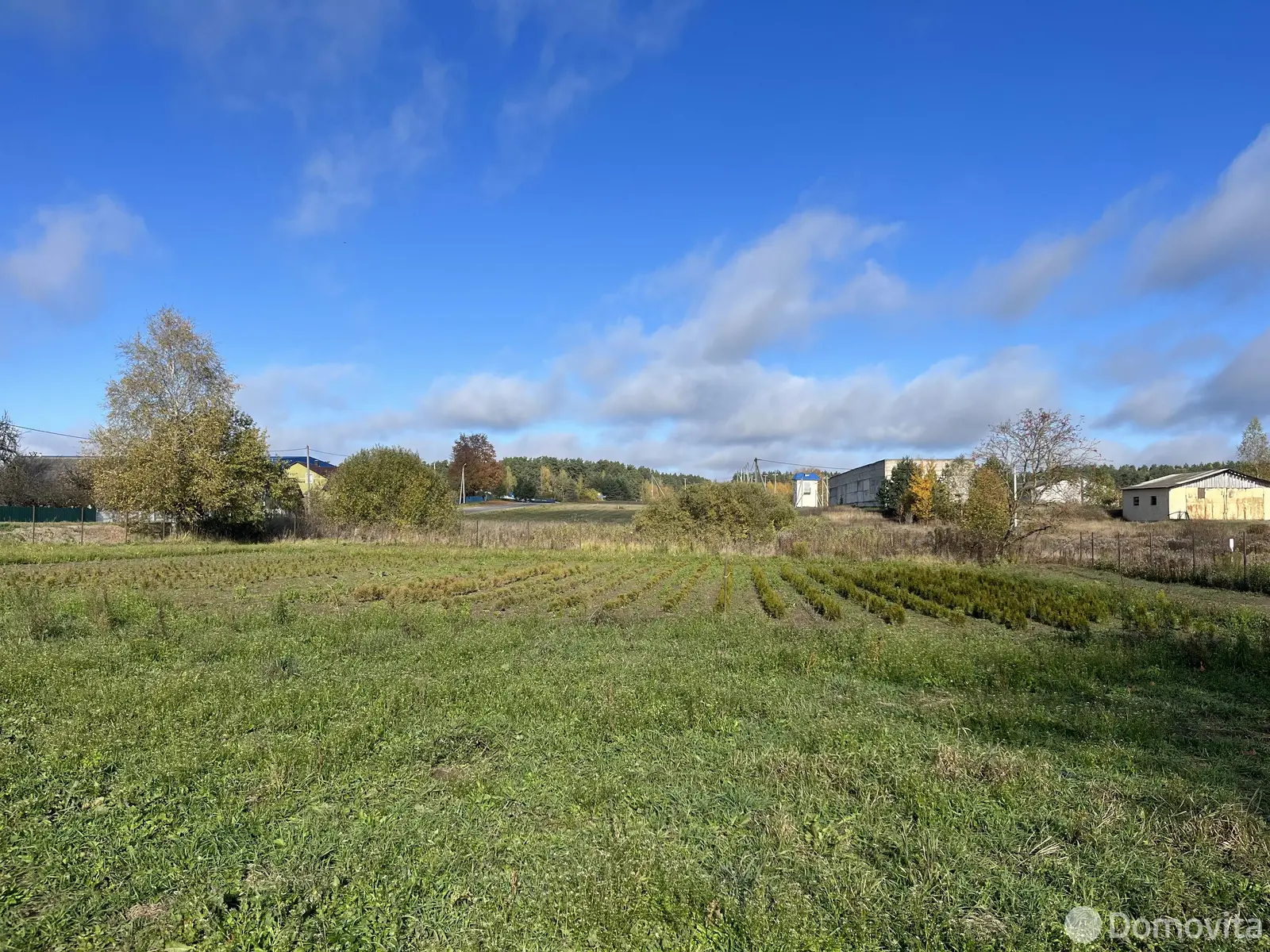 дом, Пекалин, ул. Ленина, д. 1