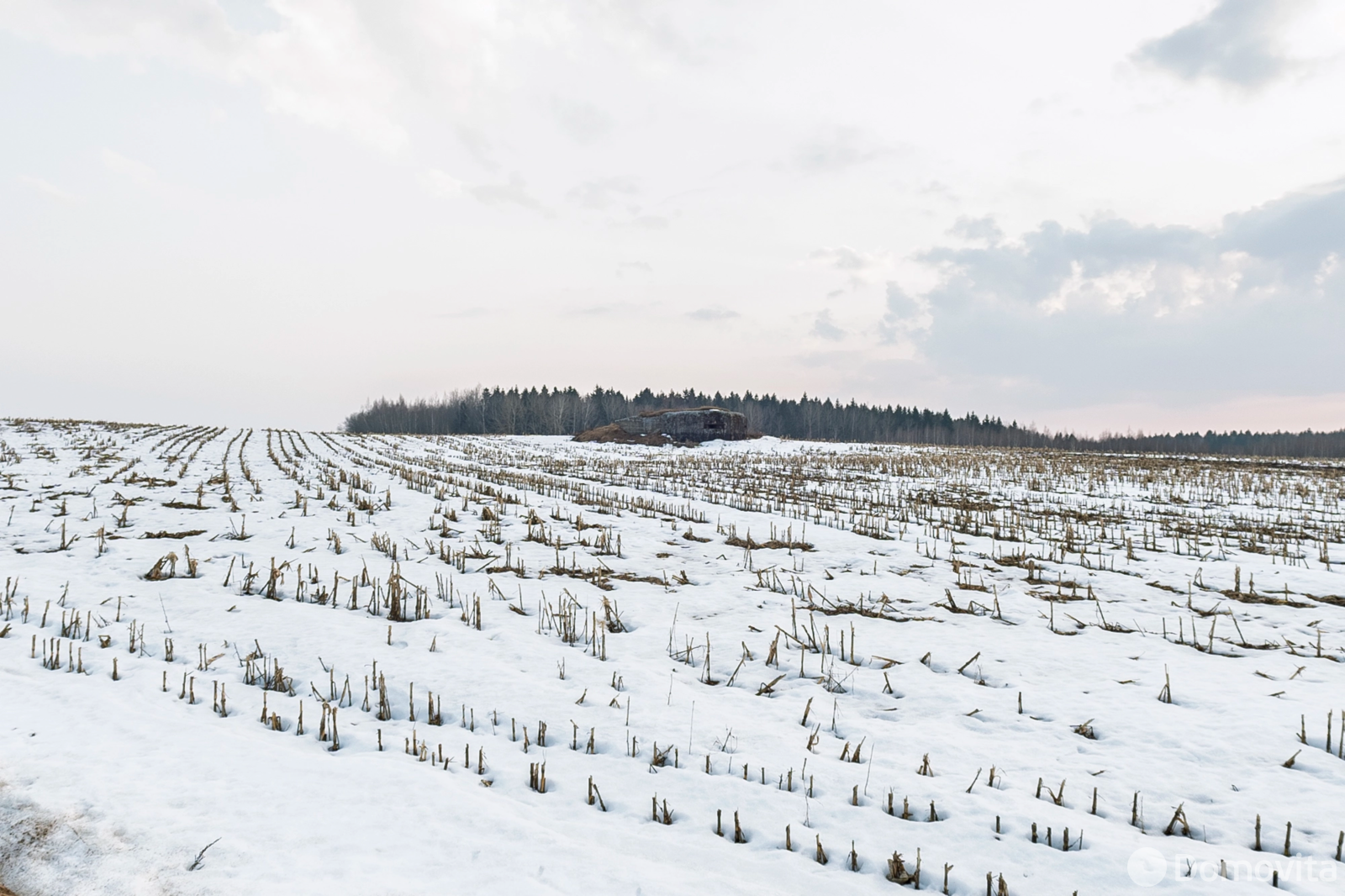 Продажа 2-этажной дачи в Новоселье Минская область, 23000USD, код 185126 - фото 48