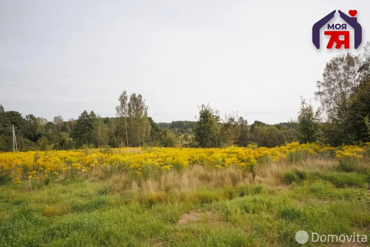 Купить земельный участок, 10 соток, Юхновка, Минская область, 85000USD, код 571813 - фото 19