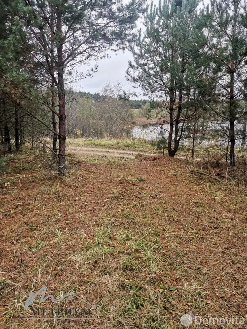 дом, Чечели, ул. Озёрная