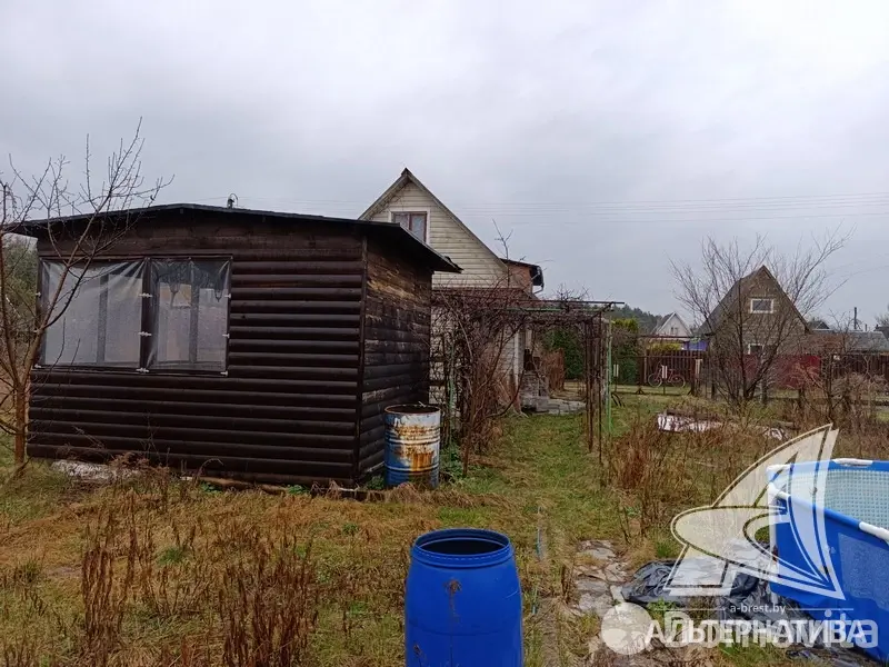 Купить 1-этажную дачу в Здоровье 2008 Брестская область, 15500USD, код 185353 - фото 27