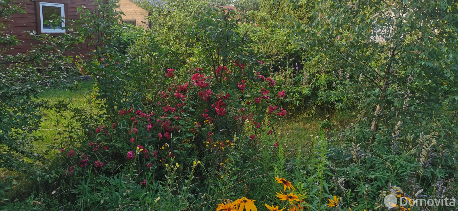 дача, Лаванда Лесная, 