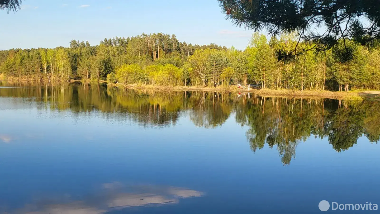 Купить 1-этажную дачу в Леошках Витебская область, 32000USD, код 183763 - фото 27