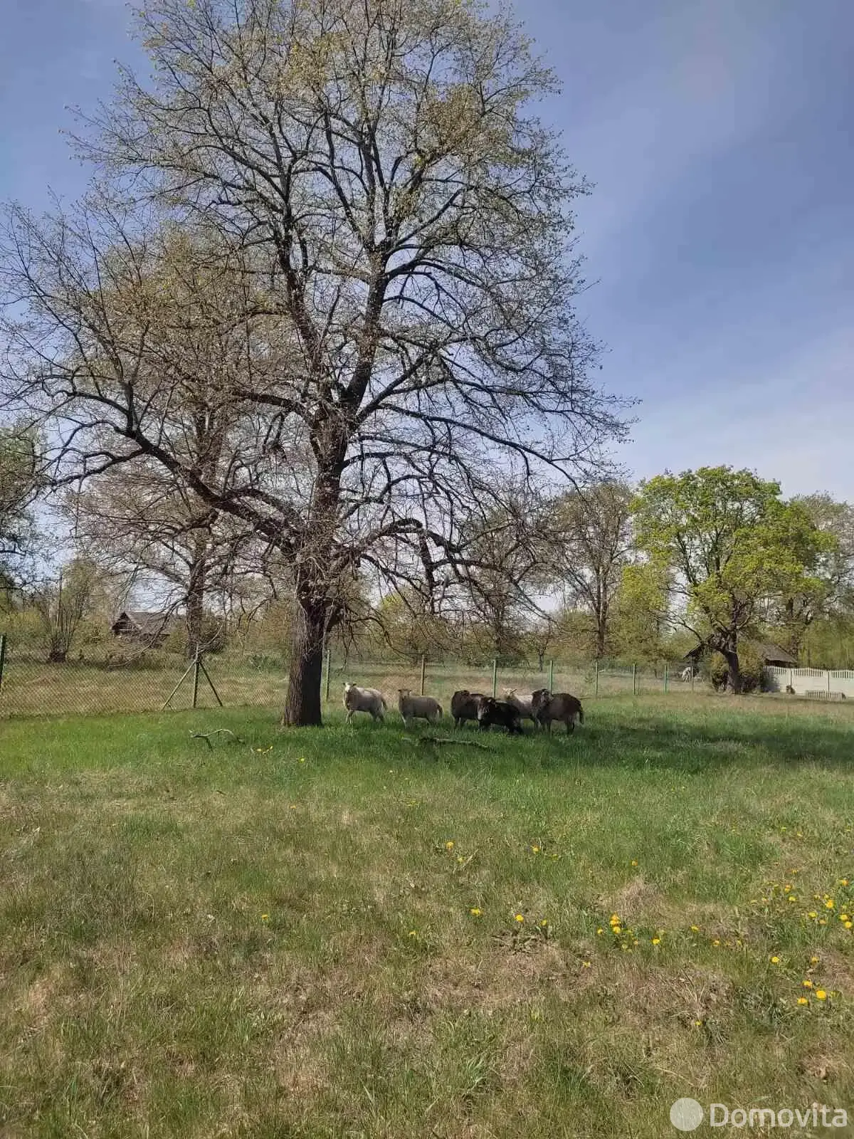 дом, Большие Сонтаки, 