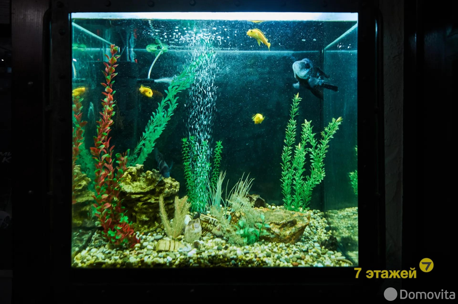 Купить помещение под сферу услуг в Минске, ул. Могилевская, д. 12/а - фото 11