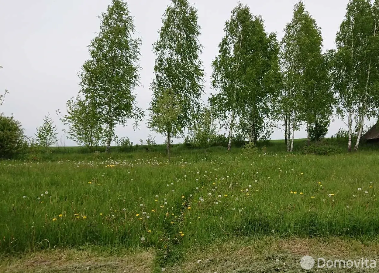 Продажа 1-этажной дачи в Головенчицах Минская область, 16000USD, код 182770 - фото 12