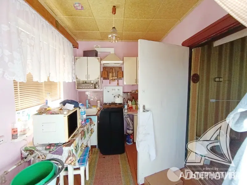 дача, Сигнал-2009, 