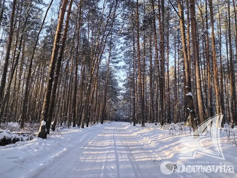 продажа дачи, Полянка-87, 
