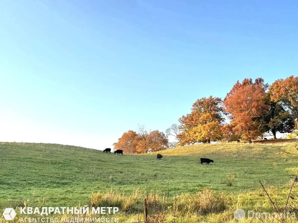 Купить 2-этажную дачу в Струсто Витебская область, 35000USD, код 184537 - фото 15