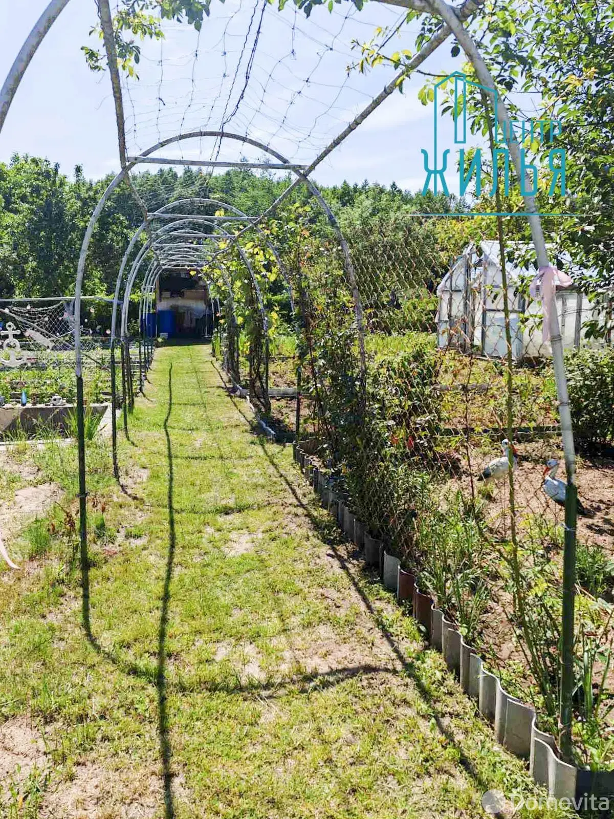 Продажа 1-этажной дачи в Крушина Гродненская область, 60000BYN, код 184247 - фото 14