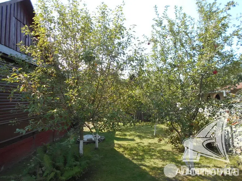 дом, Брест, - лучшее предложение