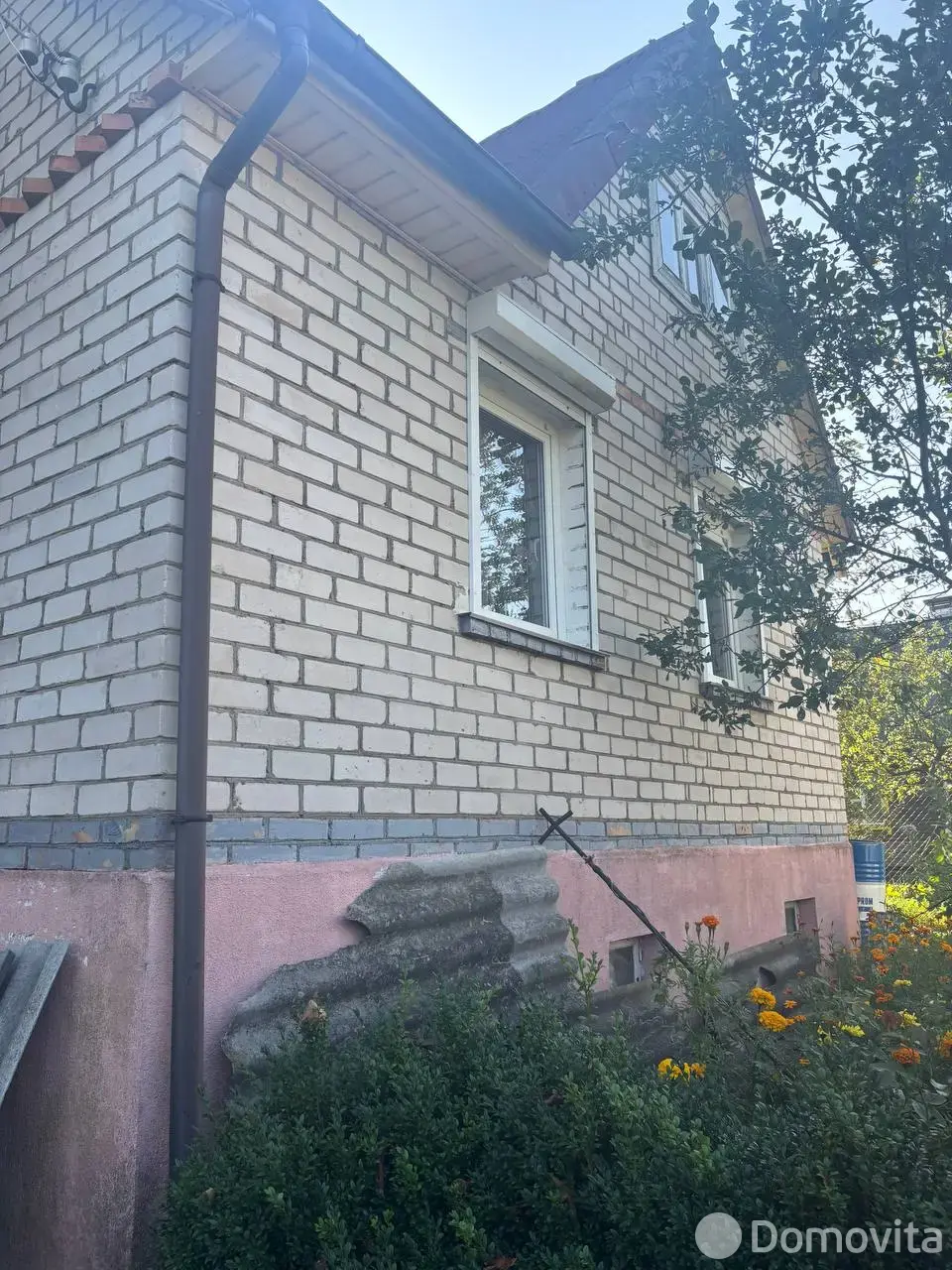 Цена продажи дачи, Шарик,