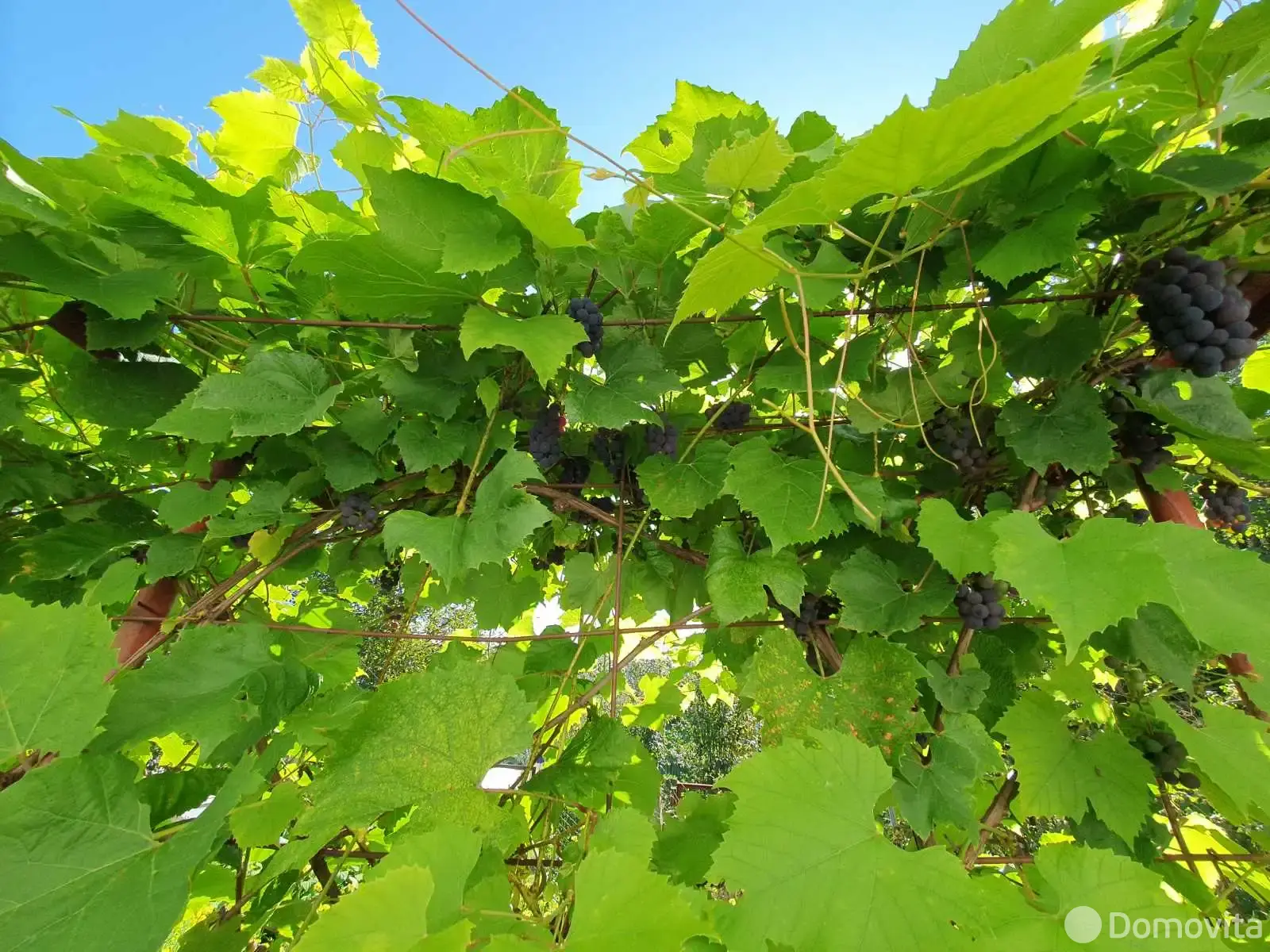 Купить 3-этажную дачу в Планета-2001 Минская область, 29900USD, код 184201 - фото 14