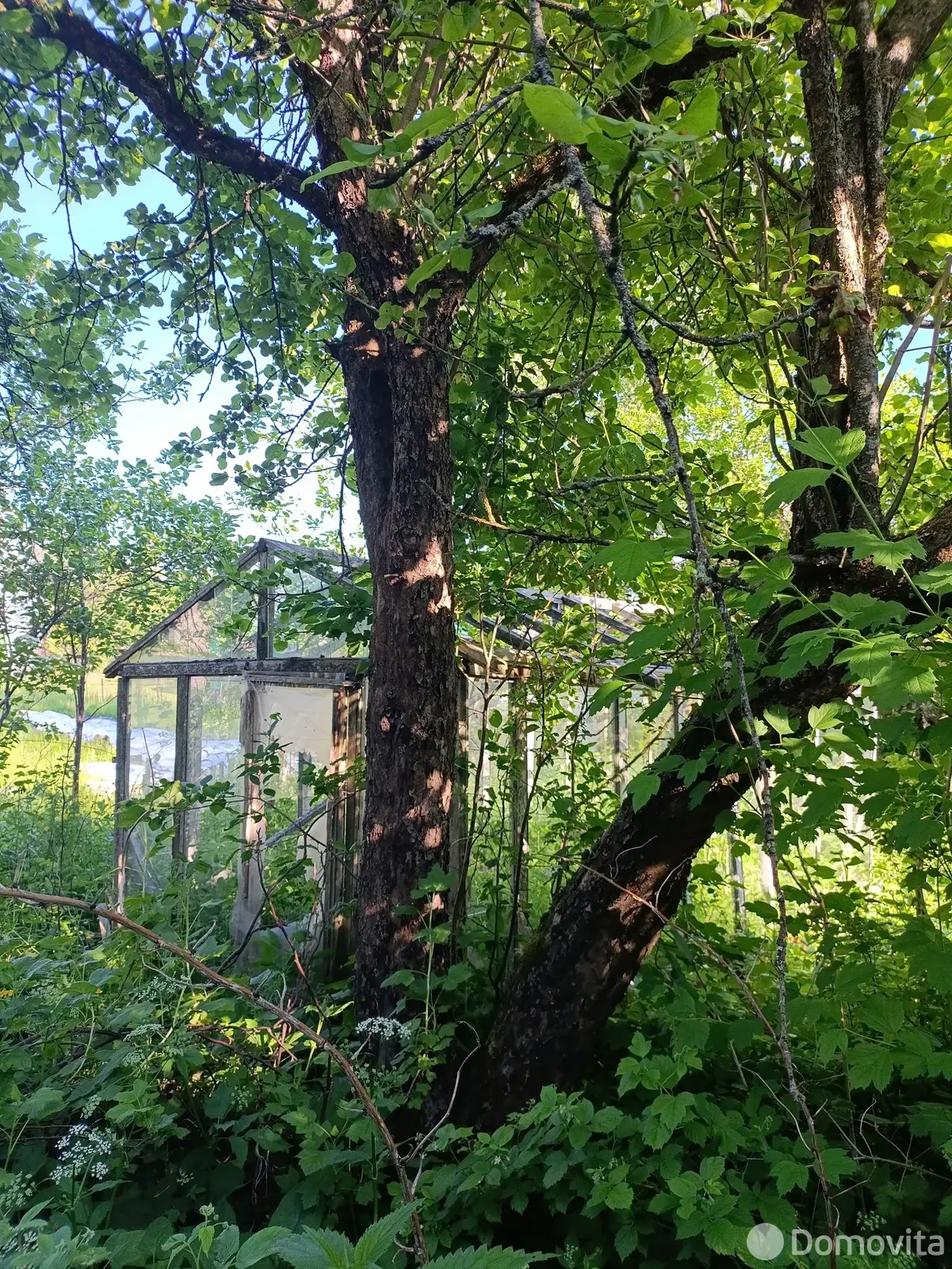 Продажа 2-этажной дачи в Зароновка-1 Витебская область, 10000BYN, код 186080 - фото 11