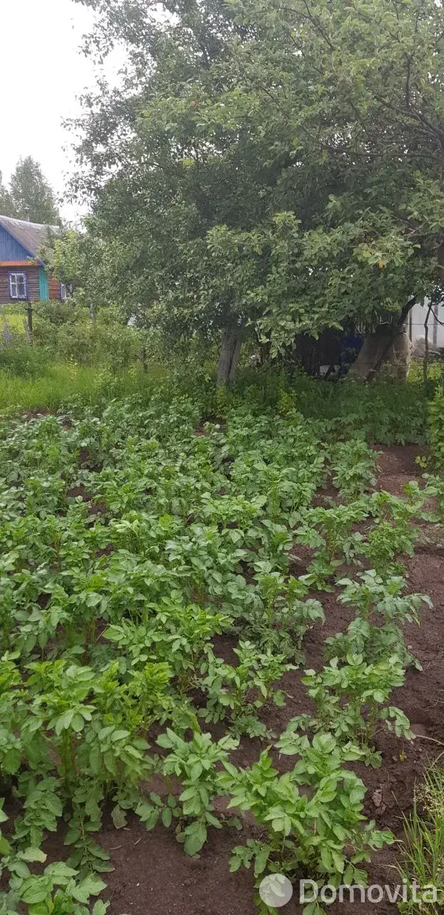 Купить земельный участок, 12 соток, Трикотаж, Витебская область, 3500USD, код 570321 - фото 27