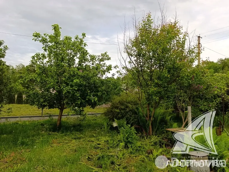 участок, Меркурий ТПП,