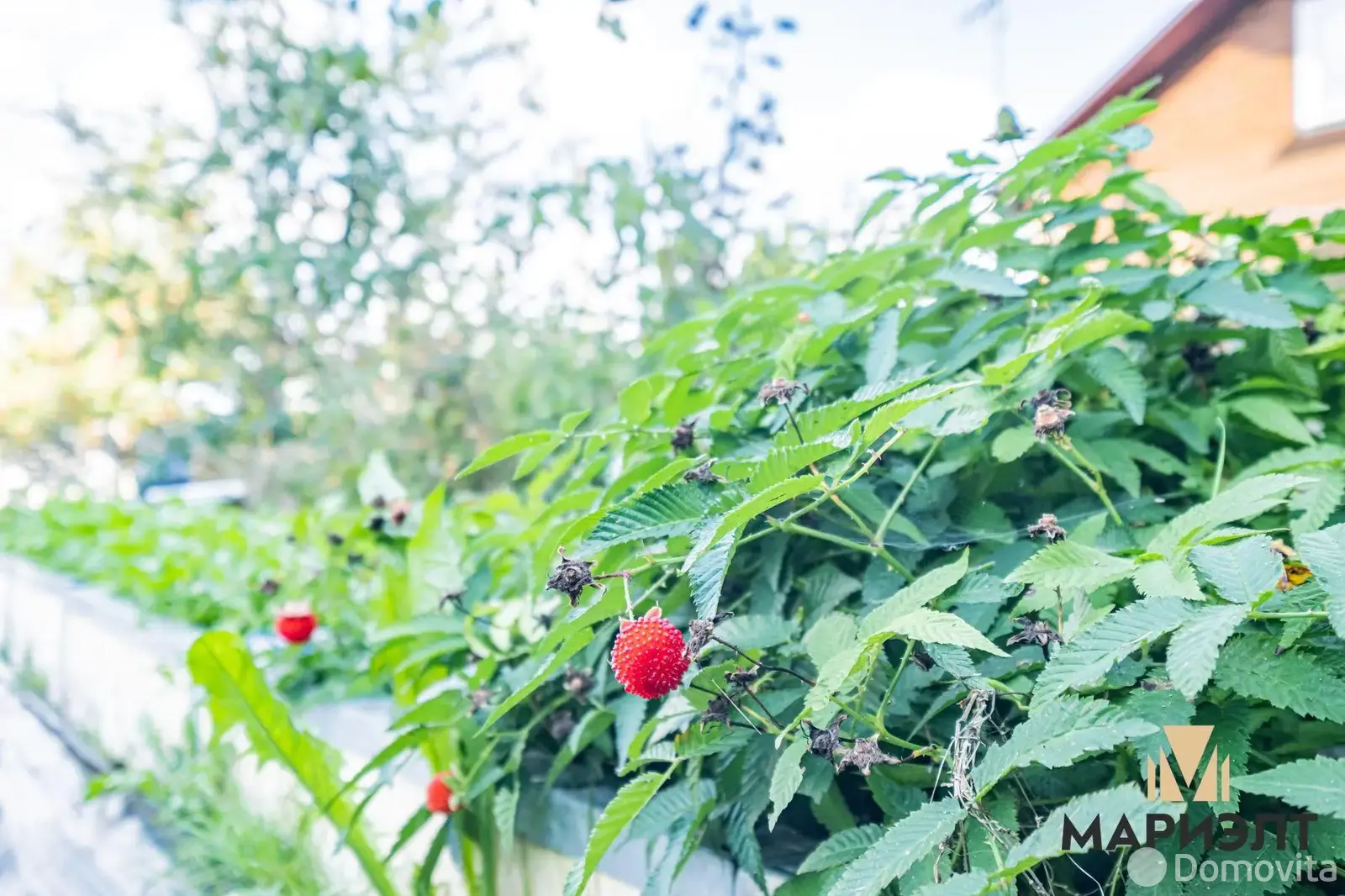 Купить земельный участок, 15 соток, ЯСЕВИЧИ, Минская область, 35000USD, код 570229 - фото 14