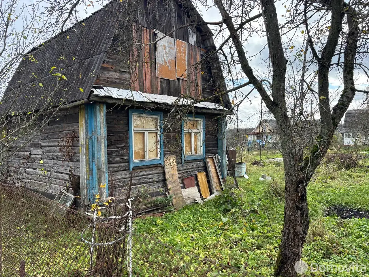 дача, Шарик,