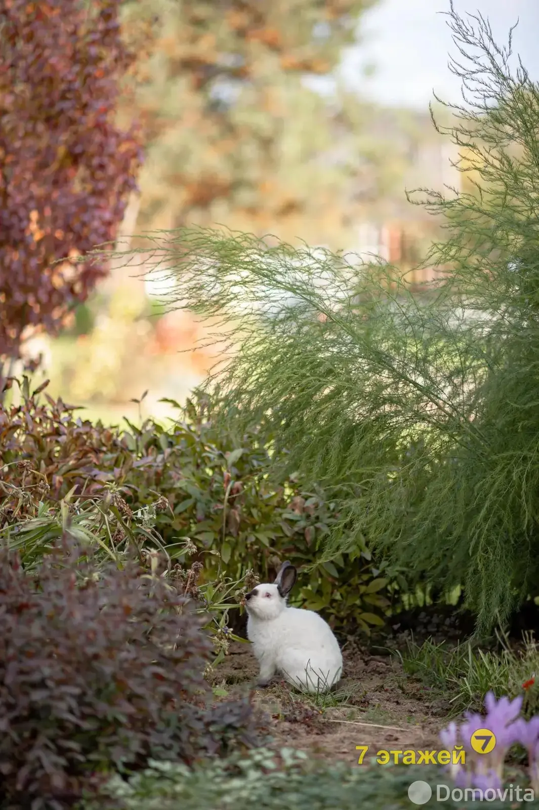 Продать 2-этажный коттедж в Подгатье, Минская область ул. Дачная, 120900USD, код 654093 - фото 31