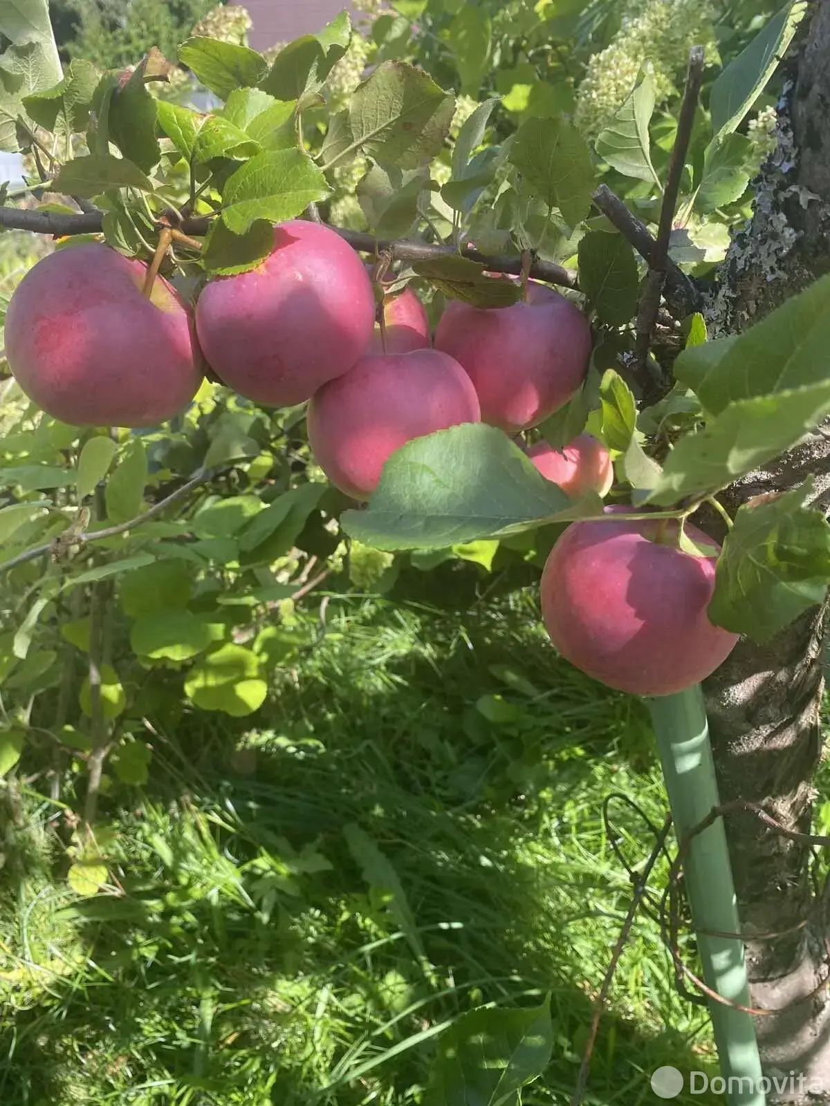 продажа участка, Электрон-89, 