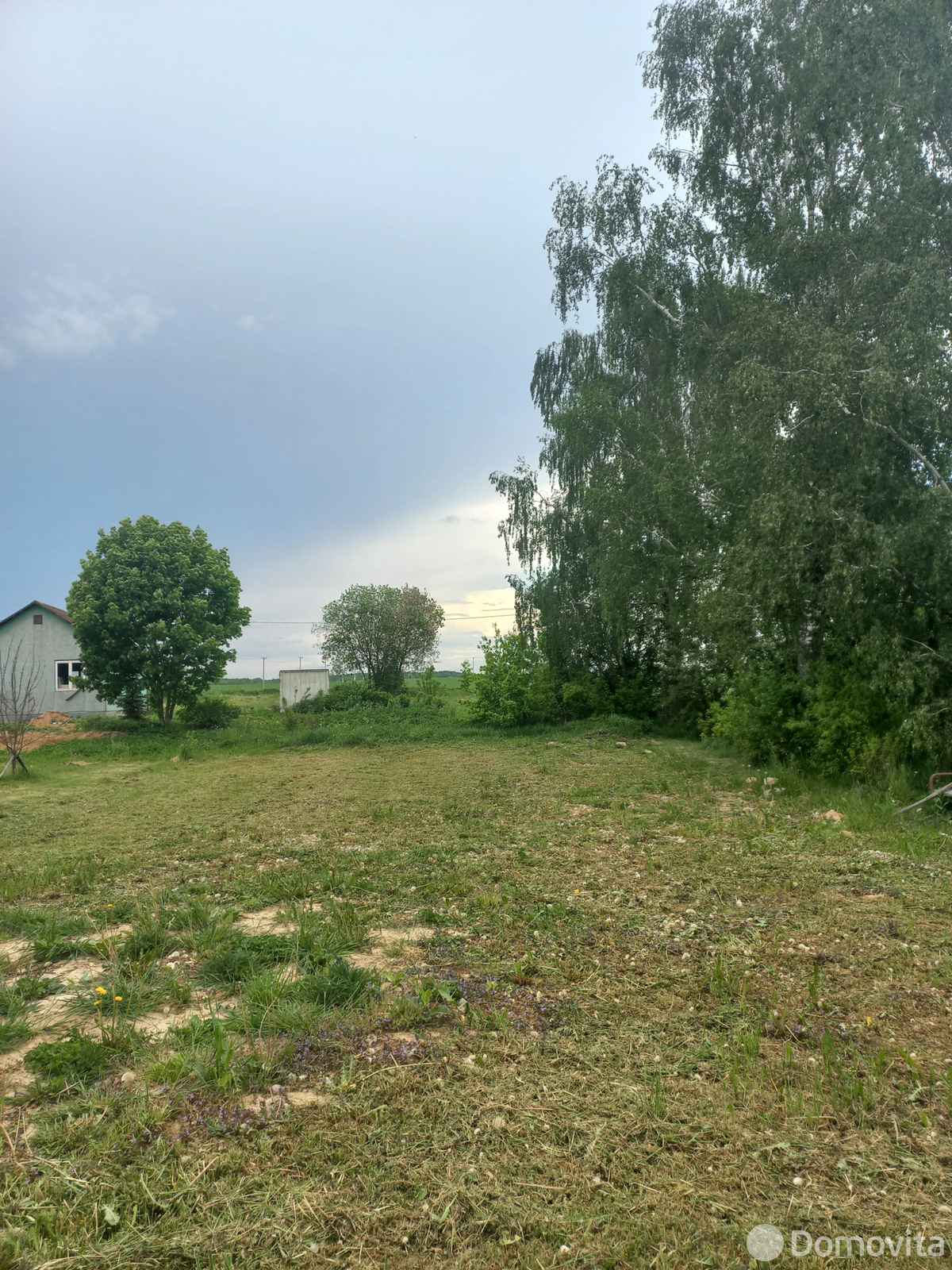 участок, Рыжики, ул. Центральная